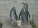 Bei_den_Pinguinen