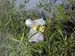 Maus_im_Zoo